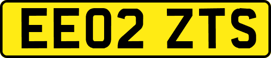 EE02ZTS