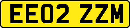EE02ZZM