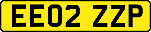 EE02ZZP