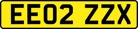 EE02ZZX