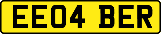 EE04BER