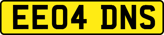 EE04DNS