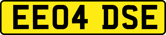 EE04DSE