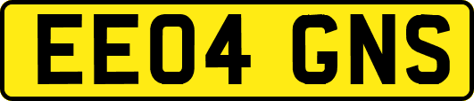 EE04GNS