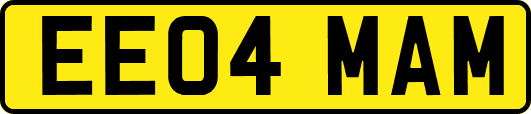 EE04MAM
