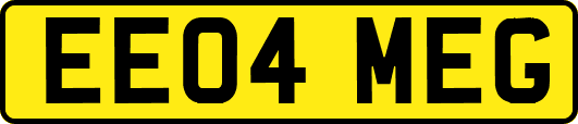 EE04MEG