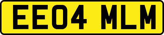 EE04MLM