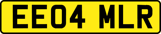 EE04MLR