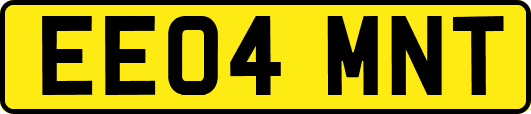 EE04MNT