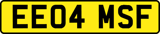 EE04MSF