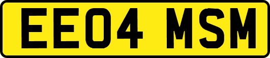 EE04MSM
