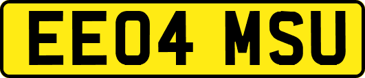 EE04MSU
