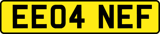 EE04NEF