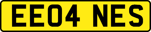 EE04NES