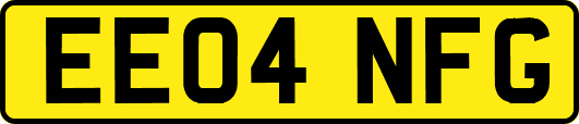 EE04NFG