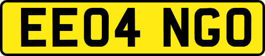 EE04NGO