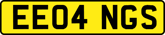 EE04NGS