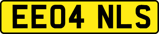 EE04NLS
