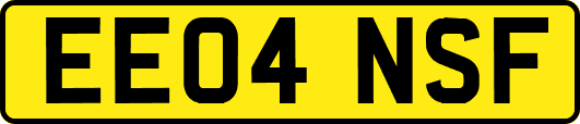 EE04NSF