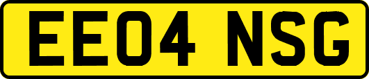 EE04NSG