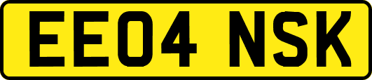 EE04NSK