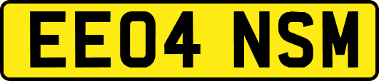 EE04NSM