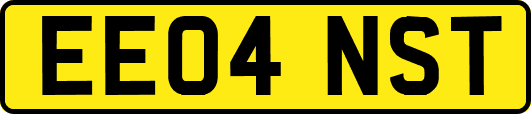 EE04NST