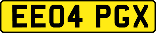 EE04PGX