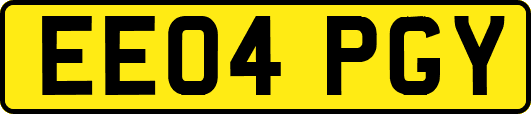 EE04PGY