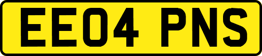 EE04PNS