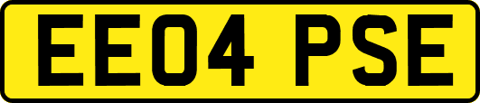 EE04PSE