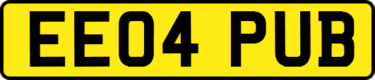 EE04PUB