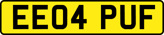EE04PUF