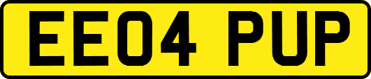 EE04PUP