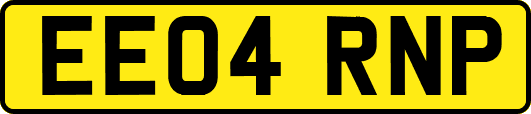 EE04RNP