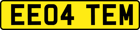 EE04TEM