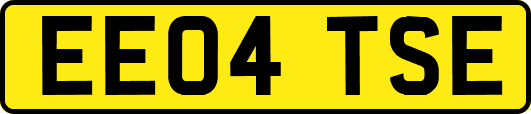 EE04TSE