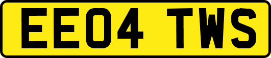 EE04TWS