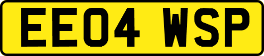 EE04WSP