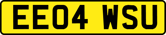 EE04WSU