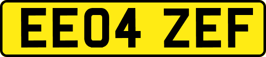 EE04ZEF