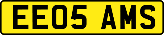 EE05AMS