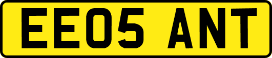 EE05ANT