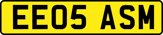 EE05ASM