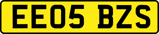 EE05BZS