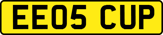 EE05CUP