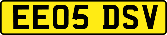 EE05DSV