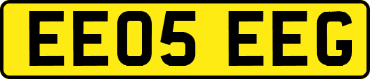 EE05EEG