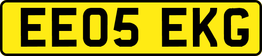 EE05EKG