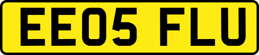 EE05FLU